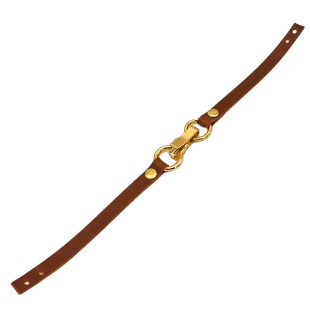 Çanta Aksesuar Taba Renk Kancalı Böce, Kilit, Light Gold Metalli