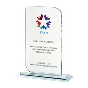 PINAR KRİSTAL PLAKET